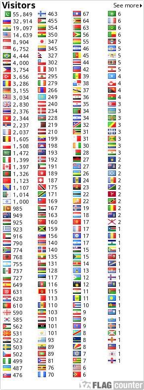Flag Counter