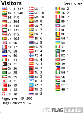 Flag Counter