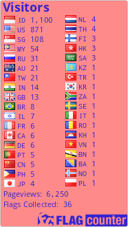 Flag Counter