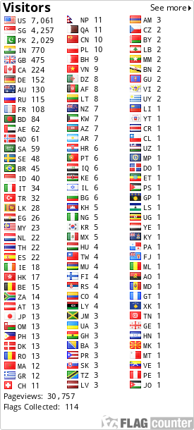 Flag Counter