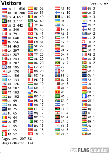 Flag Counter