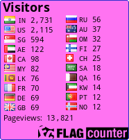 Flag Counter