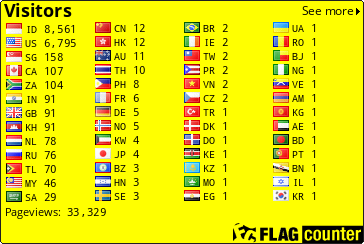 Flag Counter