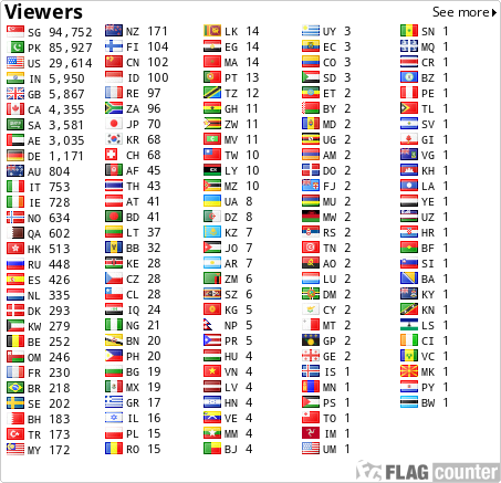 Flag Counter