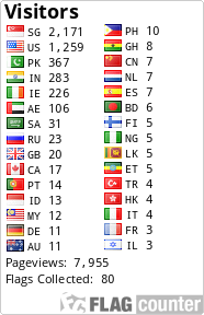 Flag Counter