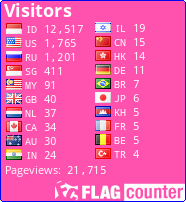Flag Counter