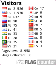 Flag Counter