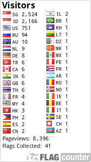 Flag Counter
