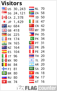 flag counters