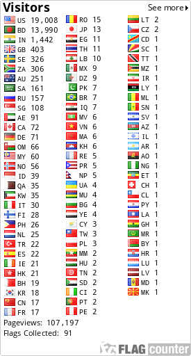 Flag Counter