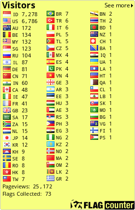 Flag Counter