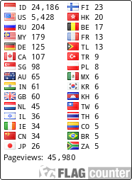 Flag Counter