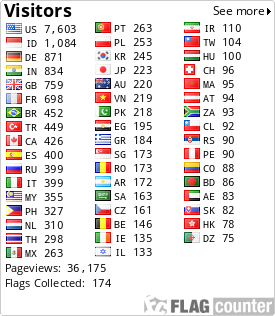 Flag Counter