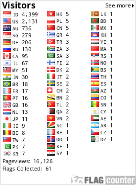 Flag Counter