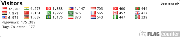 Flag Counter
