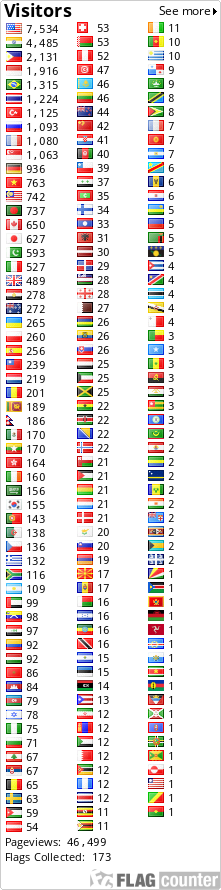 Flag Counter