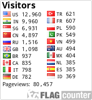 Flag Counter