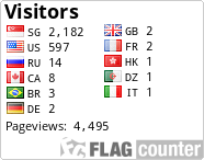 Flag Counter