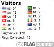 Flag Counter