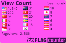Flag Counter