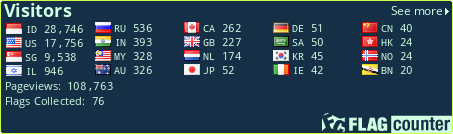 Flag Counter