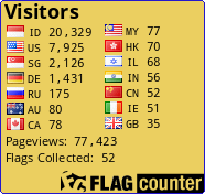 Flag Counter