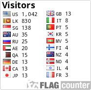 Flag Counter