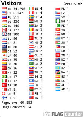 Flag Counter