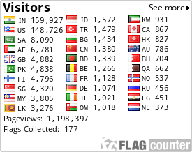 Flag Counter