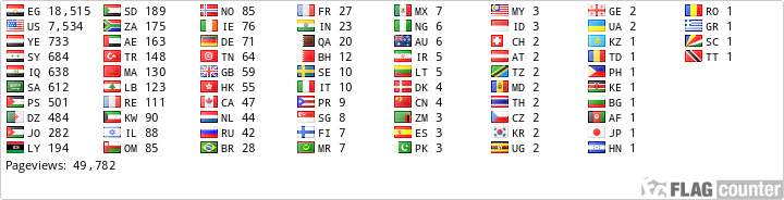 Flag Counter