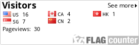 Flag Counter