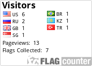 Flag Counter