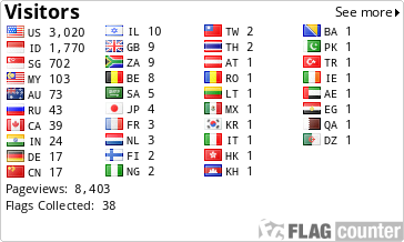 Flag Counter