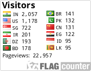 Flag Counter