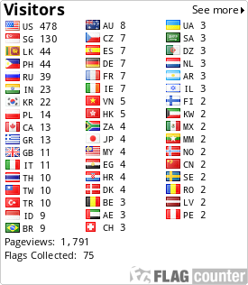Flag Counter