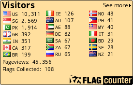 Flag Counter
