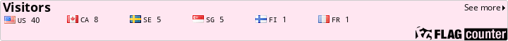 Flag Counter