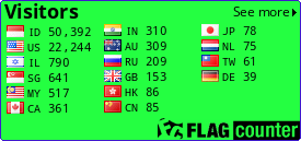 Flag Counter