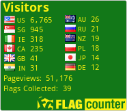 Flag Counter