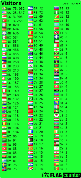 Flag Counter