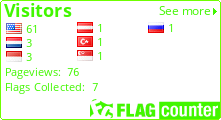Flag Counter