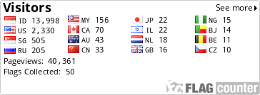 Flag Counter