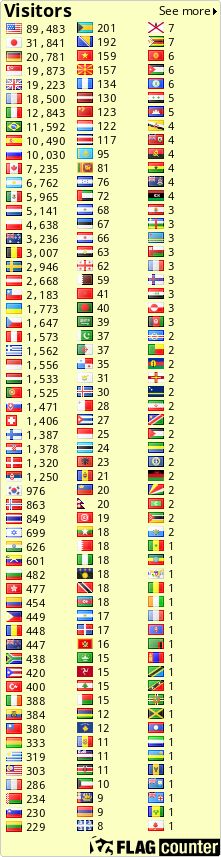 Flag Counter