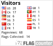 Flag Counter