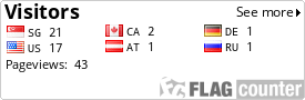 Flag Counter