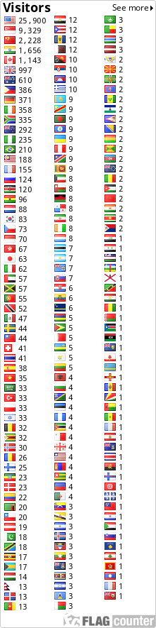 Flag Counter