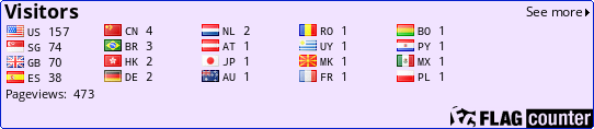 Flag Counter