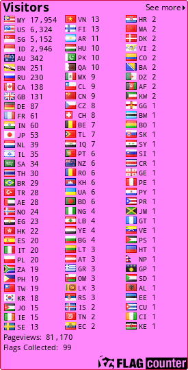 Flag Counter