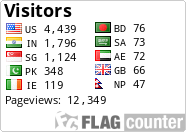 Flag Counter