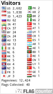 Flag Counter